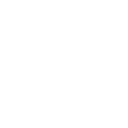 Scopri